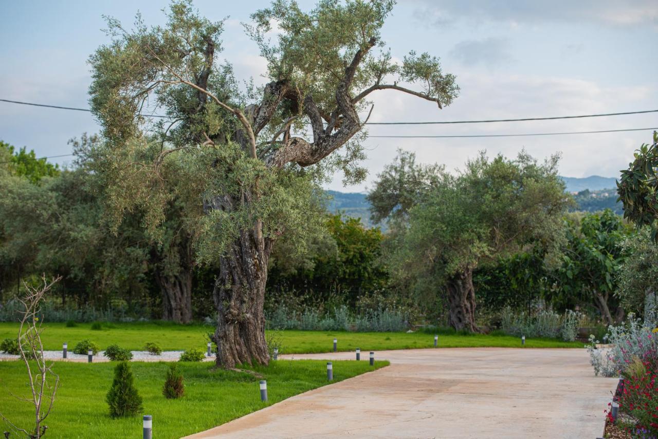 Aerinos Private Villa Lefkada City Exterior foto
